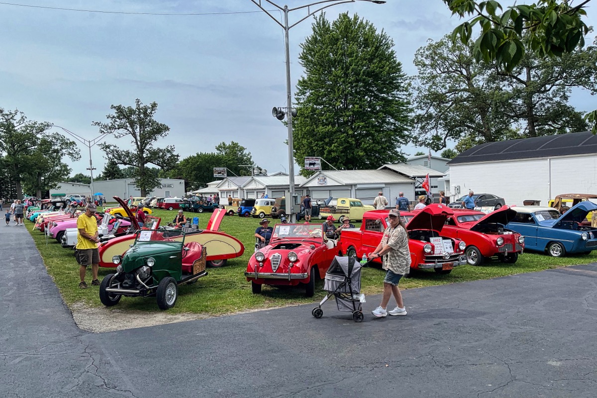 Main Show Field